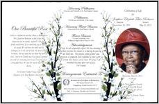 Celebration of Life for Josephing Elizabeth Felder Robinson, Sunrise November 26, 1936, Sunset May 26, 2012, Thursday, May 31, 2012, St. Paul Baptist Church, 2259 Rowesville Road, Orangeburg, SC 29116, Rev. Charcey N. Priester, Pastor