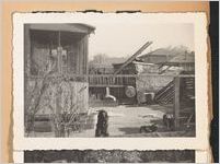 Photograph of a dog and chickens in a yard
