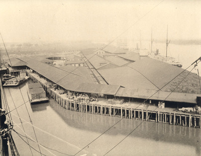 Central Railroad & Ocean Steamship Wharves