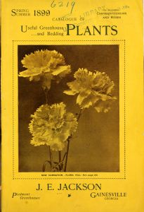 Catalogue of useful greenhouse and bedding plants