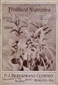 Fruitland Nurseries : catalogue no. 2 1901
