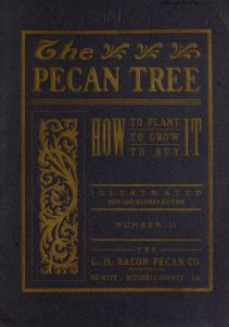 Illustrated catalogue and price-list of grafted, budded and seedling paper-shell pecans and other nut-bearing trees : with which is incorporated a treatise on pecan culture no. II
