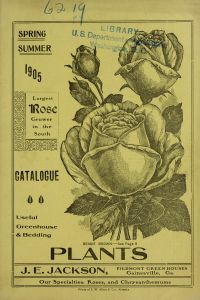 Catalogue : useful greenhouse and bedding plants