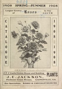 Catalogue 1908 : useful green house and bedding plants