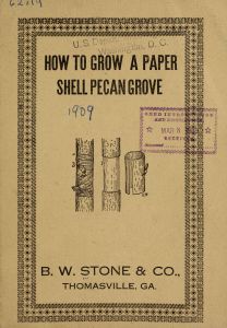 How to grow a paper shell pecan grove