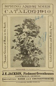 Spring and summer catalog 1910