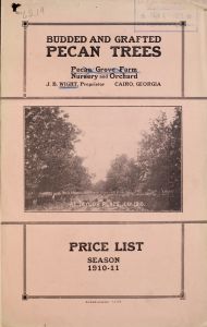 Budded and grafted pecan trees : price list season 1910-11