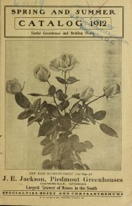 Spring and summer catalog 1912 : useful greenhouses and bedding plants