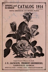Spring and summer catalog 1914 : useful greenhouses and bedding plants