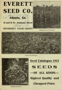 Seed catalogue : 1915 seeds of all kinds