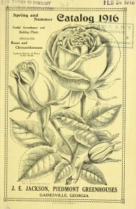 Spring and summer catalog 1916 : useful greenhouses and bedding plants