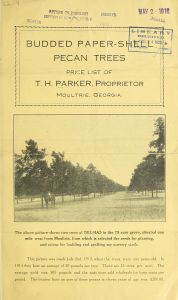 Budded paper-shell pecan trees : price list of T.H. Parker, proprietor
