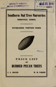 Price list of budded pecan trees