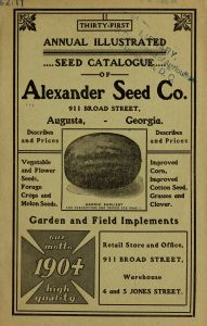 Thirty-first annual illustrated seed catalogue of Alexander Seed Co. : 1904