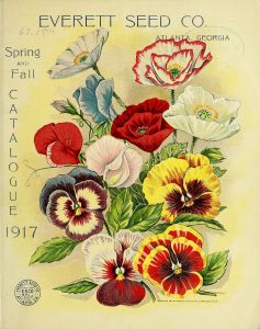 Spring and fall catalogue. 1917 / Everett Seed Co.