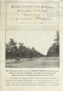 Budded paper-shell pecan trees : price list of T.H. Parker, proprietor.
