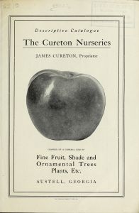Descriptive catalogue and price list : fine fruit, shade and ornamental trees, plants, etc. / Cureton Nurseries ; James Cureton, proprietor.