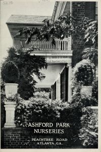 Hardy ornamental plants for the south : trees, deciduous shrubs, broad-leaved evergreens, coniferous evergreens, vines / Ashford Park Nurseries ; W. T. Ashford, H. C. Caldwell.