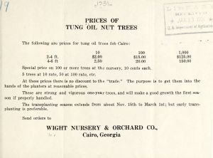 Prices of tung oil nut trees / Wight Nursery and Orchard Co.