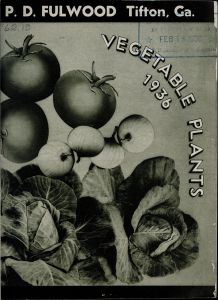 Vegetable plants, 1936 / P.D. Fulwood.