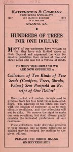 Hundreds of trees for one dollar / Katzenstein & Company, tree seeds specialists, 1897-1936.