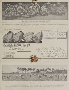 Carlisle Plant Farms, largest individual plant grower, 1000 acre farm / H.G. Carlisle, president.