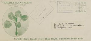 Carlisle plants satisfy more than 100,000 customers every year / Carlisle Plant Farms ; H.G. Carlisle, president.