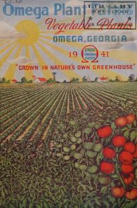 Vegetable plants, 1941, "grown in nature's own greenhouse" / Omega Plant Farms.