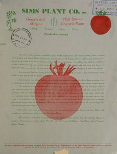 Market gardener's price list of field grown vegetable plants / Sims Plant Co., Inc..