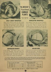 P.D. Fulwood, grower and shipper, high grade vegetable plants, Tifton, Georgia