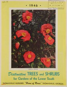 Distinctive trees and shrubs for gardens of the lower South, 1946 / Thomasville Nurseries, "home of roses".