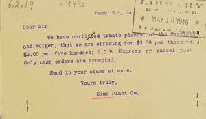 We have certified tomato plants of the Marglobe and Rutger / Sims Plant Co., Inc..