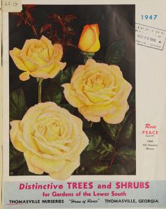 Distinctive trees and shrubs for gardens of the lower South, 1947 / Thomasville Nurseries.