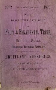 Descriptive catalogue of fruit & ornamental trees, shrubs, vines, roses, evergreens, flowering plants, etc. cultivated and for sale at the Fruitland Nurseries, Augusta, GA. by P. J. Berckmans, proprietor