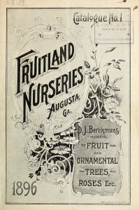 Fruit and ornamental trees, roses, etc