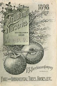 Fruit and ornamental trees, roses, etc