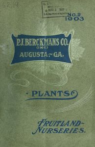 Plants