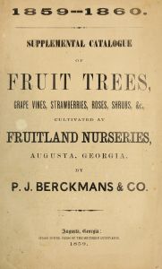 Supplemental catalogue of fruit trees, grape vines, strawberries, roses, shrubs, &c., cultivated at the Fruitland Nurseries, Augusta, Georgia