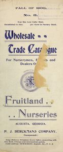 Wholesale trade catalogue for nurserymen, florists and dealers only