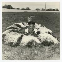 Marchantnita D. Jones, 1985