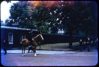 Policeman on Horseback, circa 1955