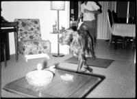 Unidentified Boy Chases Irish Setter, circa 1972
