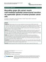 Muscadine Grape Skin Extract Reverts Snail-Mediated Epithelial Mesenchymal Transition Via Superoxide Species in Human Prostate Cancer Cells