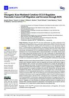 Oncogenic Kras-Mediated Cytokine CCL15 Regulates Pancreatic Cancer Cell Migration and Invasion through ROS