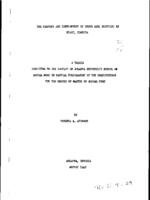 The history and development of Negro girl scouting in Miami, Florida, 1946