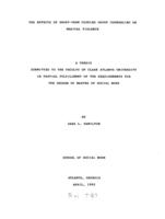 The effects of short-term couples group counseling on marital violence, 1992