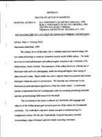 Navigating the Gullah culture using multimedia technology, 1999