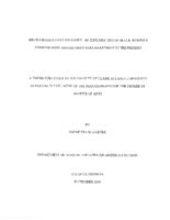 Brown bodies have no glory: and exploration of black women's pornographic images from Sara Baartman to the present, 2009
