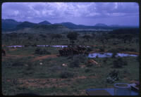 Landscape, February 1966