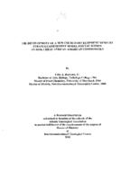 The development of a new church development ministry strategy assessment model for use within at-risk urban African American communities, 2008